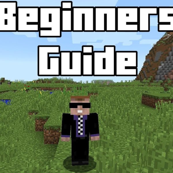 Minecraft Gameplay Tips for Beginners